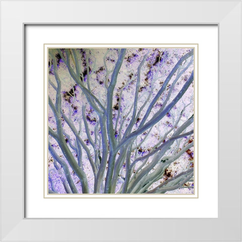Space Canopy II White Modern Wood Framed Art Print with Double Matting by Grayscale