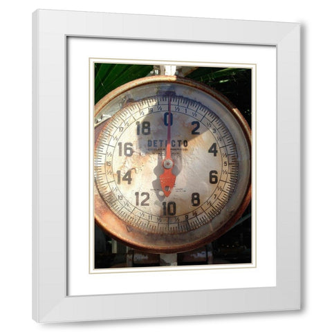 Scale Face White Modern Wood Framed Art Print with Double Matting by Grayscale