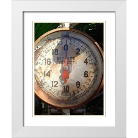 Scale Face White Modern Wood Framed Art Print with Double Matting by Grayscale