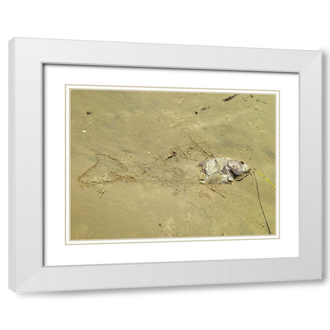 Fish Sketch I White Modern Wood Framed Art Print with Double Matting by Grayscale