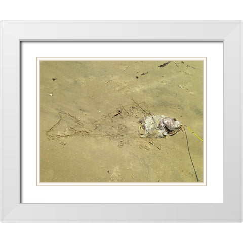 Fish Sketch I White Modern Wood Framed Art Print with Double Matting by Grayscale