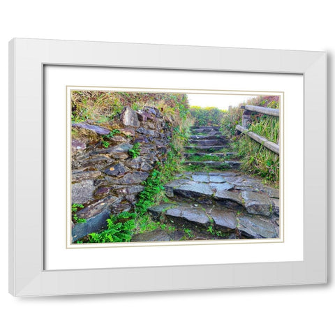 Stone Stairs II White Modern Wood Framed Art Print with Double Matting by Grayscale