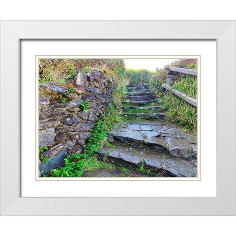 Stone Stairs II White Modern Wood Framed Art Print with Double Matting by Grayscale