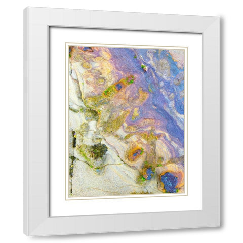 Oxidized Sand II White Modern Wood Framed Art Print with Double Matting by Grayscale