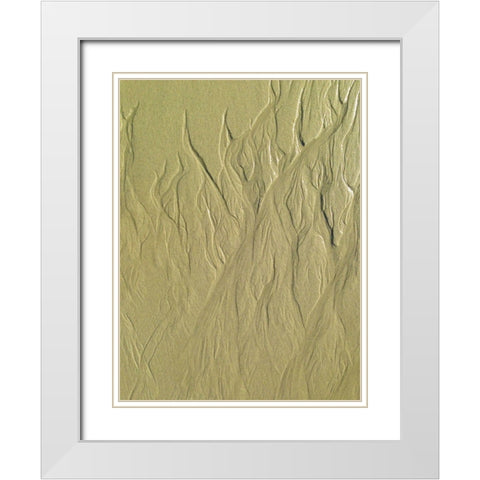 Wet Sand II White Modern Wood Framed Art Print with Double Matting by Grayscale