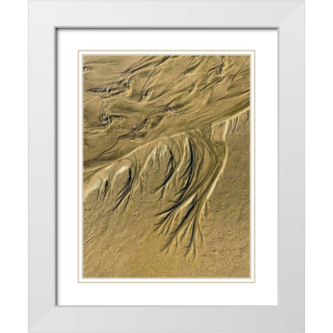 Wet Sand III White Modern Wood Framed Art Print with Double Matting by Grayscale