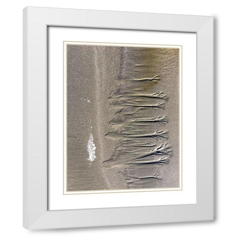 Wet Sand VI White Modern Wood Framed Art Print with Double Matting by Grayscale
