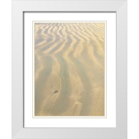 Sand Prints VI White Modern Wood Framed Art Print with Double Matting by Grayscale