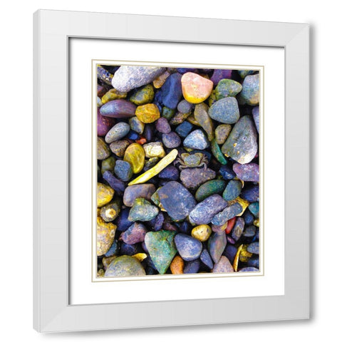 Natural Camo I White Modern Wood Framed Art Print with Double Matting by Grayscale