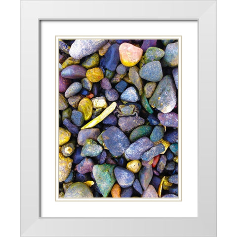 Natural Camo I White Modern Wood Framed Art Print with Double Matting by Grayscale