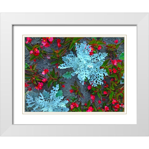 White and Red II White Modern Wood Framed Art Print with Double Matting by Grayscale