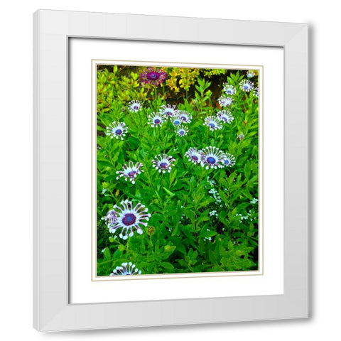 White and Purple I White Modern Wood Framed Art Print with Double Matting by Grayscale