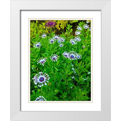 White and Purple I White Modern Wood Framed Art Print with Double Matting by Grayscale