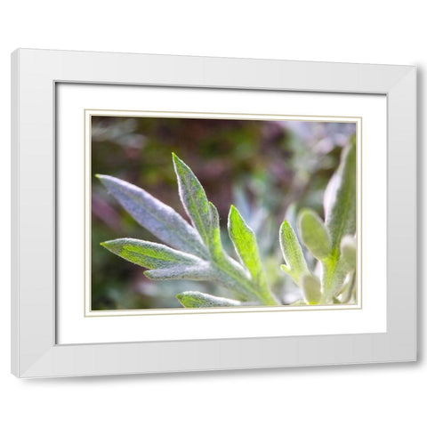 Silver Leaves I White Modern Wood Framed Art Print with Double Matting by Grayscale