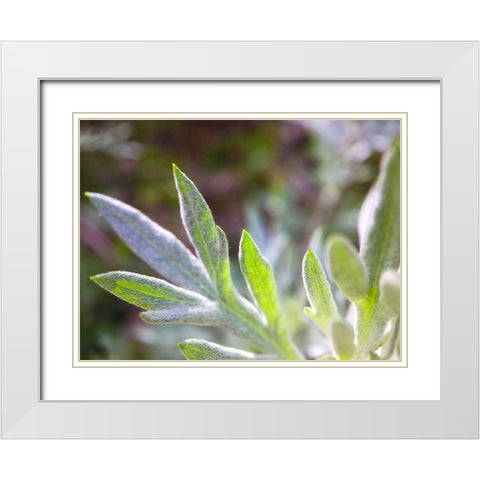 Silver Leaves I White Modern Wood Framed Art Print with Double Matting by Grayscale