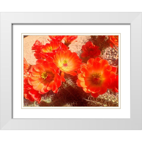 Hedgehogs II White Modern Wood Framed Art Print with Double Matting by Grayscale