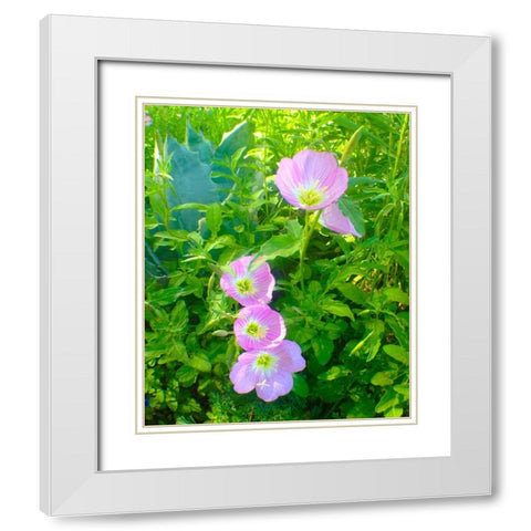 Geraniums I White Modern Wood Framed Art Print with Double Matting by Grayscale