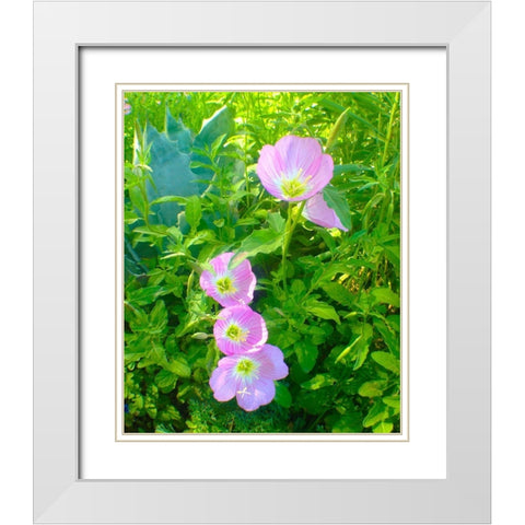 Geraniums I White Modern Wood Framed Art Print with Double Matting by Grayscale