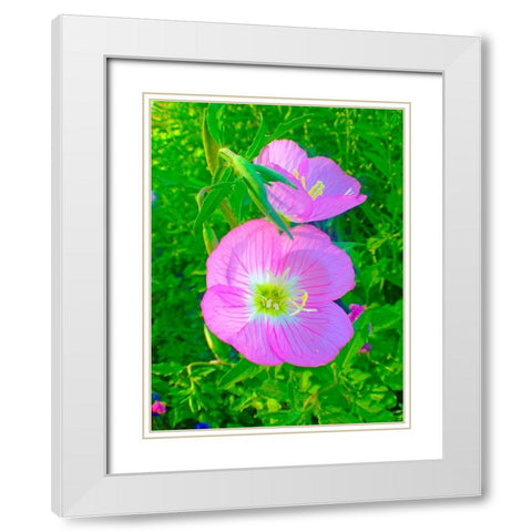 Geraniums II White Modern Wood Framed Art Print with Double Matting by Grayscale