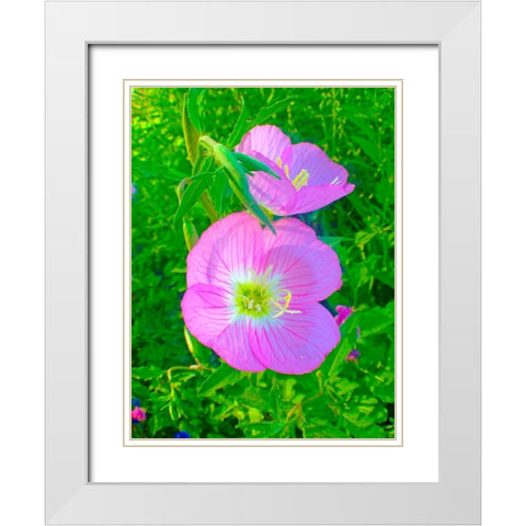 Geraniums II White Modern Wood Framed Art Print with Double Matting by Grayscale