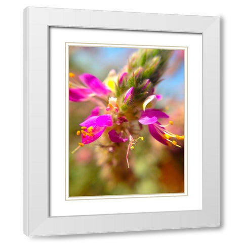 Exploding Buds I White Modern Wood Framed Art Print with Double Matting by Grayscale