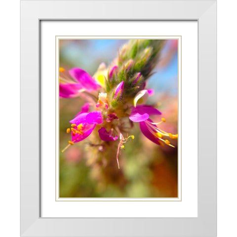 Exploding Buds I White Modern Wood Framed Art Print with Double Matting by Grayscale