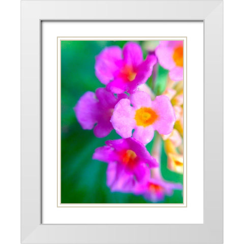 Kaleidoscope III White Modern Wood Framed Art Print with Double Matting by Grayscale