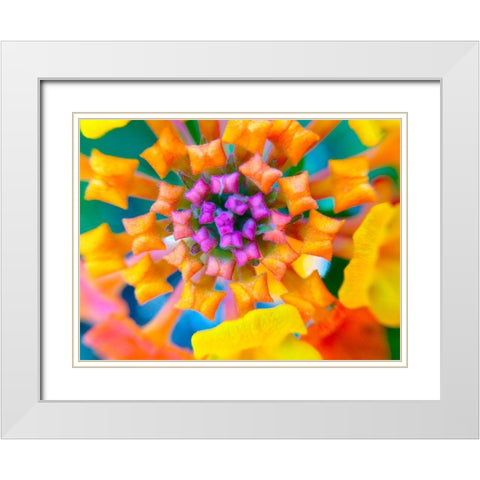 Kaleidoscope IV White Modern Wood Framed Art Print with Double Matting by Grayscale
