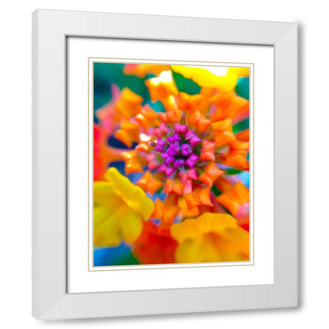 Kaleidoscope V White Modern Wood Framed Art Print with Double Matting by Grayscale