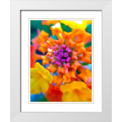 Kaleidoscope V White Modern Wood Framed Art Print with Double Matting by Grayscale