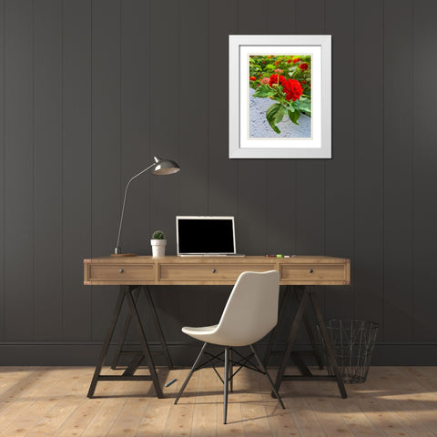 Lantana IV White Modern Wood Framed Art Print with Double Matting by Grayscale