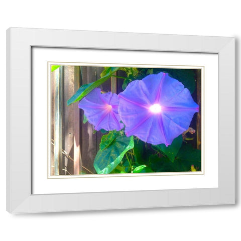 Morning Glory I White Modern Wood Framed Art Print with Double Matting by Grayscale