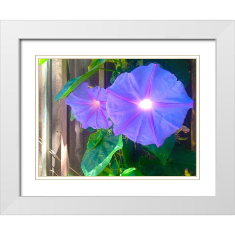 Morning Glory I White Modern Wood Framed Art Print with Double Matting by Grayscale