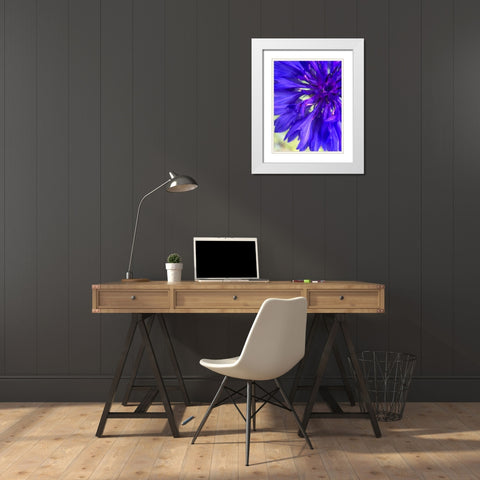 Purple Wildflower I White Modern Wood Framed Art Print with Double Matting by Grayscale