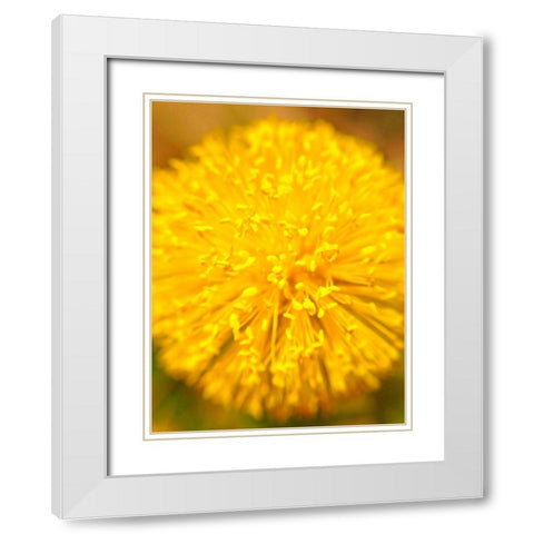 Yellow Ball I White Modern Wood Framed Art Print with Double Matting by Grayscale