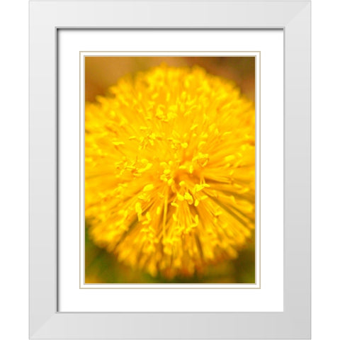 Yellow Ball I White Modern Wood Framed Art Print with Double Matting by Grayscale