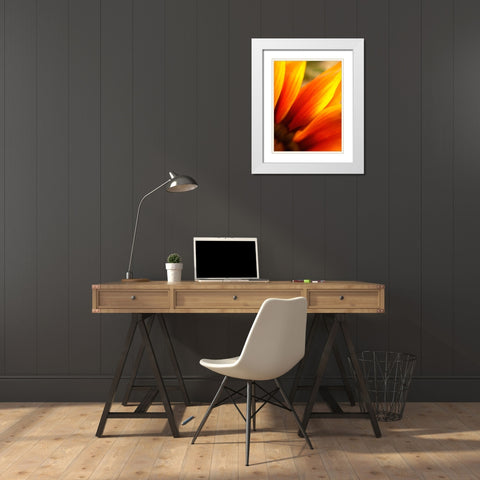 Orange Wildflower IV White Modern Wood Framed Art Print with Double Matting by Grayscale