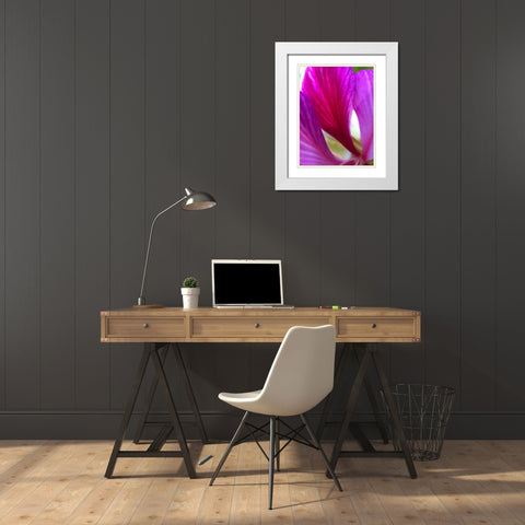 Pink Leaves II White Modern Wood Framed Art Print with Double Matting by Grayscale