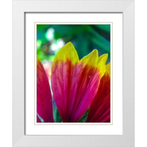 Yellow Tips I White Modern Wood Framed Art Print with Double Matting by Grayscale