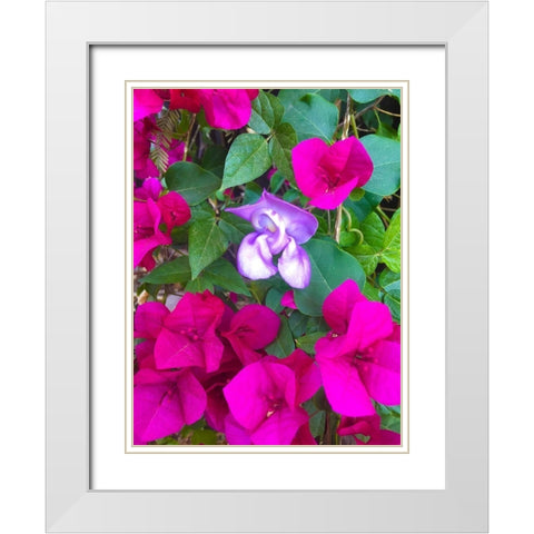 Snail Bloom I White Modern Wood Framed Art Print with Double Matting by Grayscale