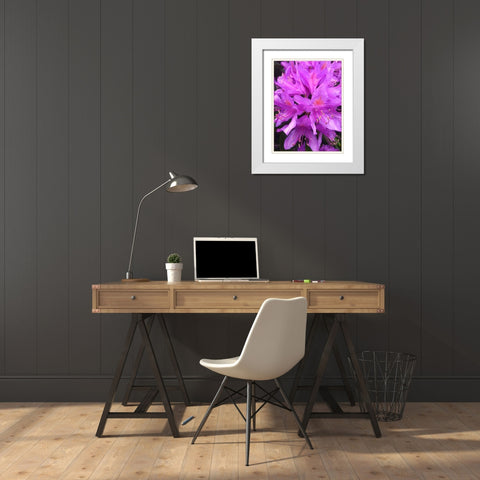 Purple Cluster I White Modern Wood Framed Art Print with Double Matting by Grayscale