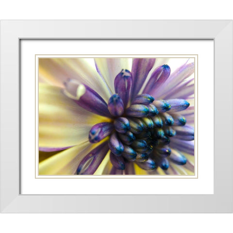 Bloom I White Modern Wood Framed Art Print with Double Matting by Grayscale