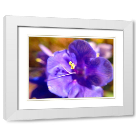 Purple Bloom I White Modern Wood Framed Art Print with Double Matting by Grayscale