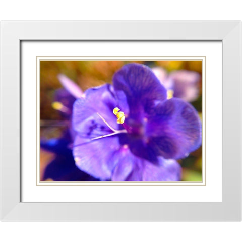 Purple Bloom I White Modern Wood Framed Art Print with Double Matting by Grayscale