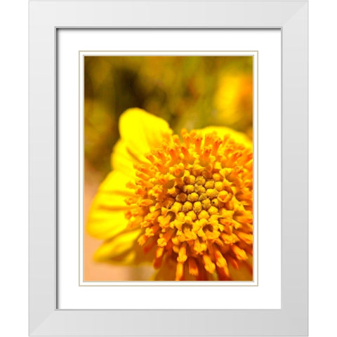 Yellow Cluster I White Modern Wood Framed Art Print with Double Matting by Grayscale
