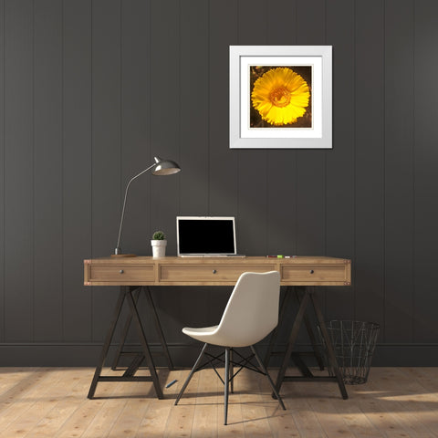 Yellow Cluster II White Modern Wood Framed Art Print with Double Matting by Grayscale