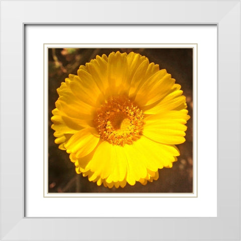 Yellow Cluster II White Modern Wood Framed Art Print with Double Matting by Grayscale