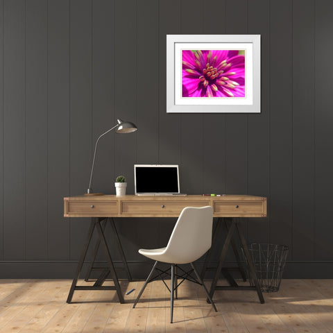 Pink Cluster IV White Modern Wood Framed Art Print with Double Matting by Grayscale