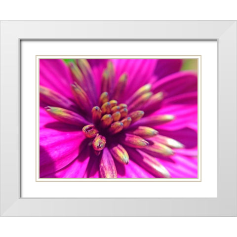 Pink Cluster IV White Modern Wood Framed Art Print with Double Matting by Grayscale