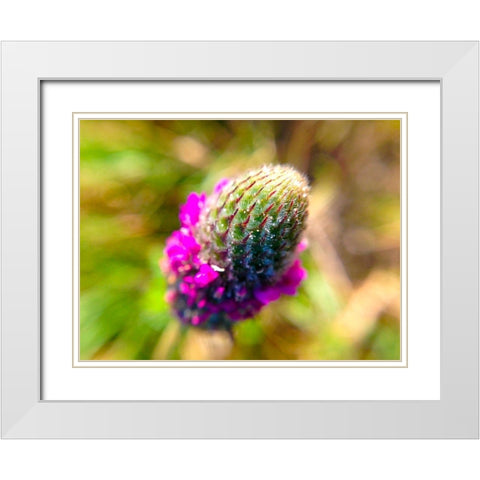 Pink Bloom III White Modern Wood Framed Art Print with Double Matting by Grayscale